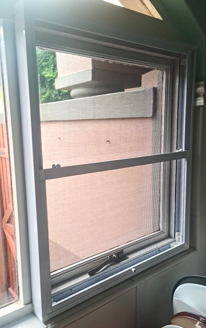 Insect and Monkey Screens - Image 20