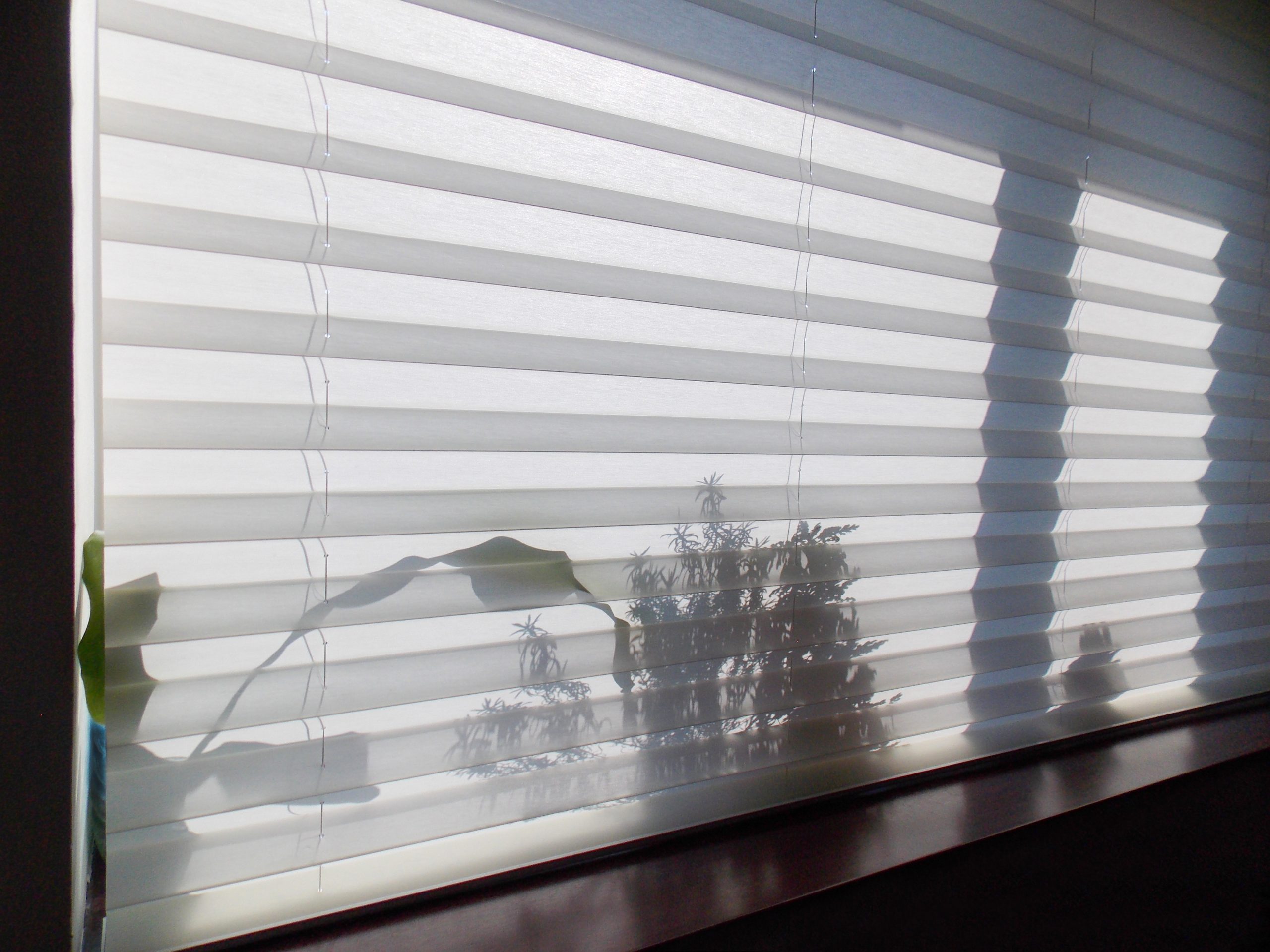 Honeycomb Blinds